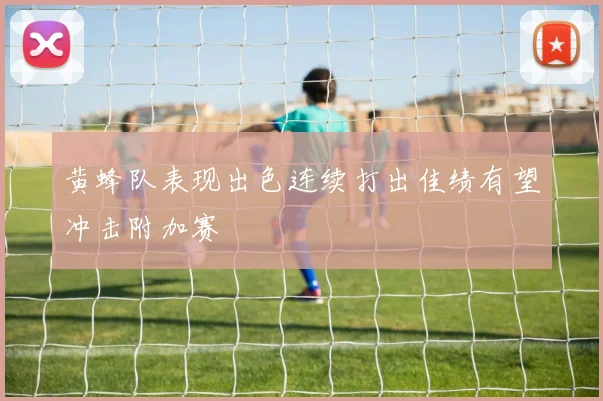 黄蜂队表现出色连续打出佳绩有望冲击附加赛