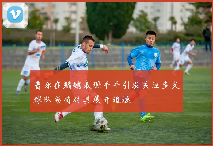 普尔在鹈鹕表现平平引发关注多支球队或将对其展开追逐