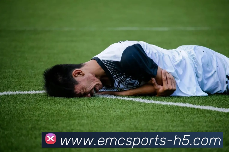 易倍体育APP 高清赛事图